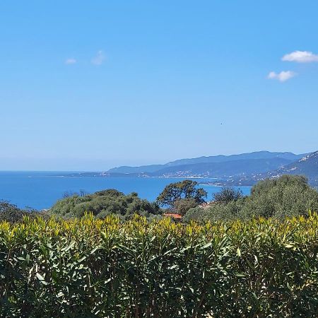 T3 Propriano vue mer classé 4 étoiles Viggianello Esterno foto