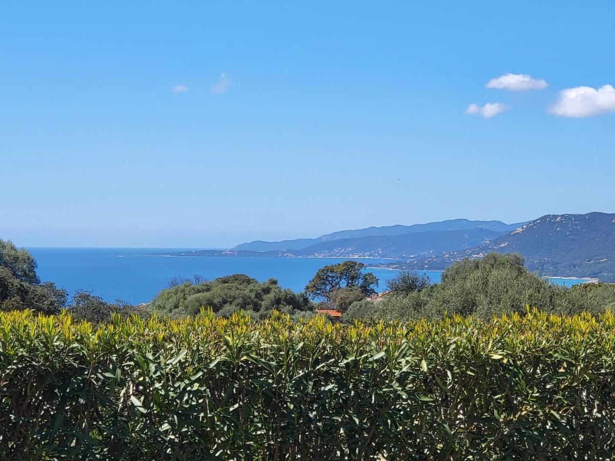 T3 Propriano vue mer classé 4 étoiles Viggianello Esterno foto