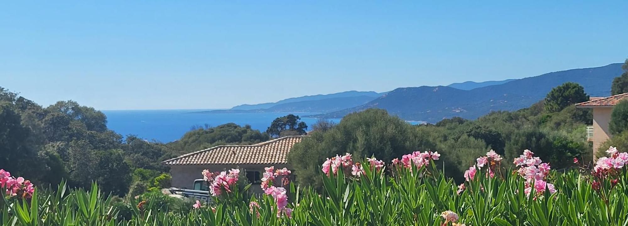 T3 Propriano vue mer classé 4 étoiles Viggianello Esterno foto